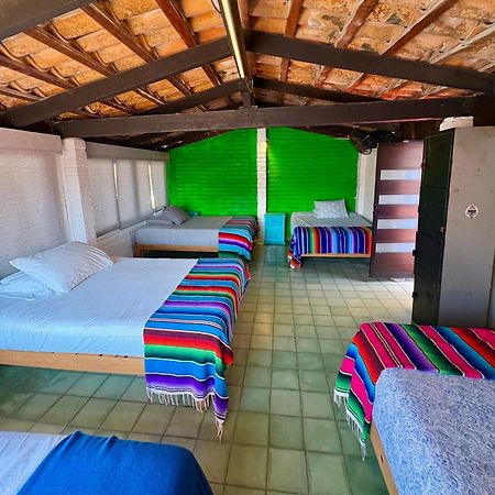 Casa Frida Gaylodging Puerto Vallarta Bagian luar foto